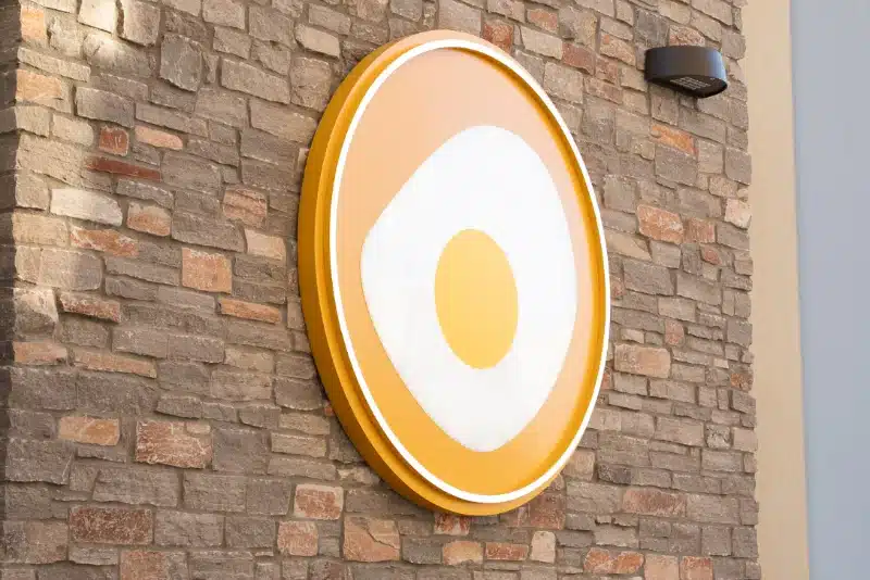 PV Tatum Egg on wall